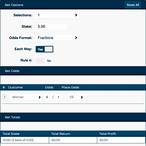 calculate bet winnings each way